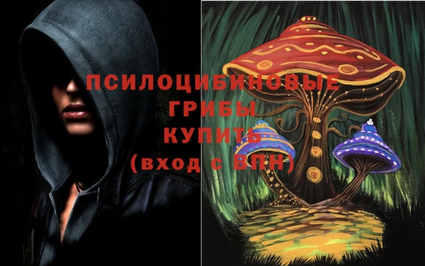 марихуана Богородицк