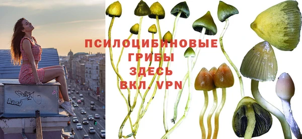 метамфетамин Видное