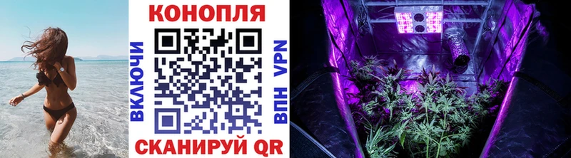 Каннабис индика  как найти наркотики  Дрезна 